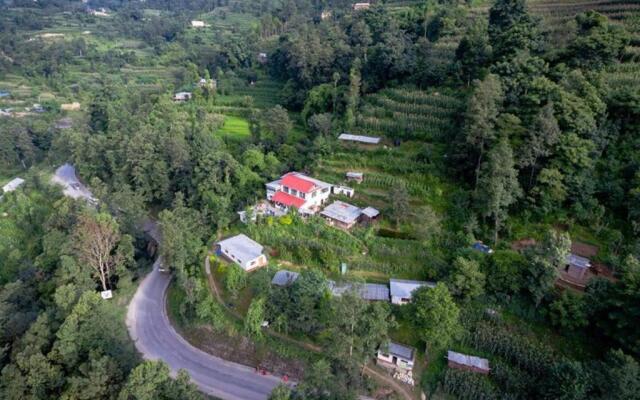 Hasera Organic Farmstay: Farm to Table & Mountain View