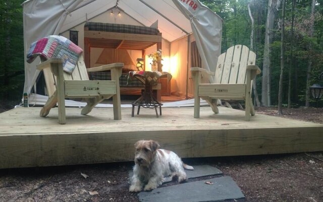 Tentrr - R Shady Creek Camp