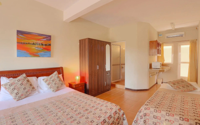 L'Oiseau de l'Océan