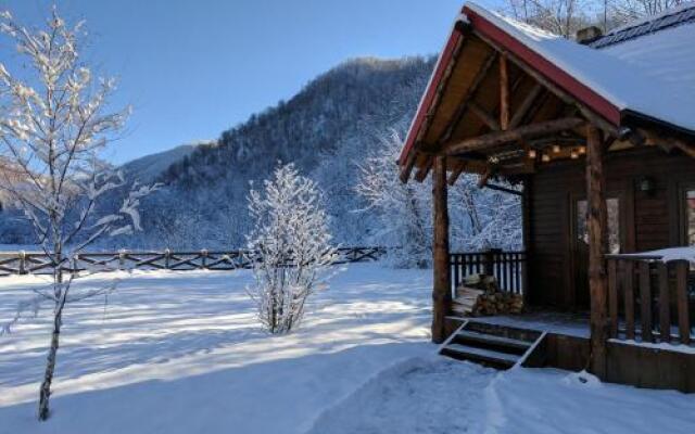 The Little Mountain Cabin