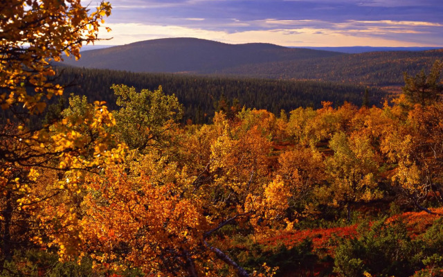 Lapland Hotels Hetta