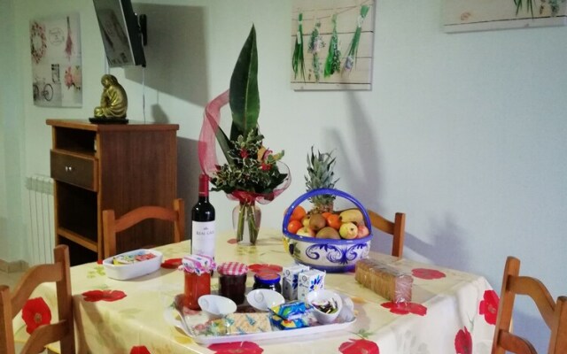 Cister Alcobaa Studios