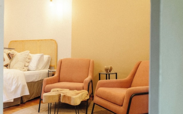 Mr. W Kin Pech 10 - Infallible PH