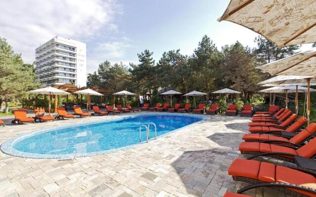Dreamland Oasis 7 Chakvi