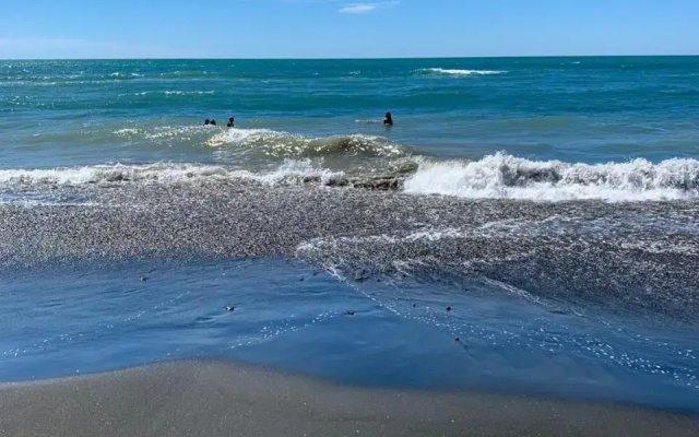 Urenui Beach Bach