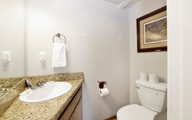 Smith Summit Chalet #2461