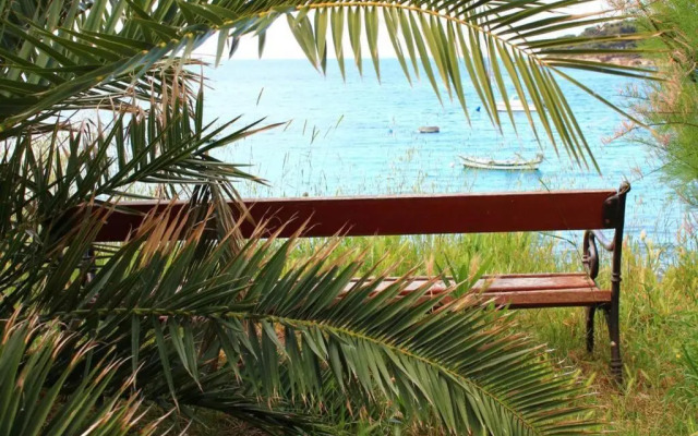 Apartment Damir 50 meters from the beach