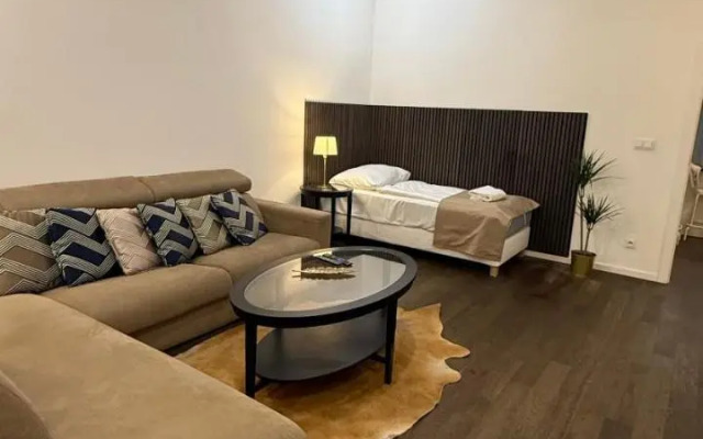 Luxury Modern Designed Oldtown Apartment