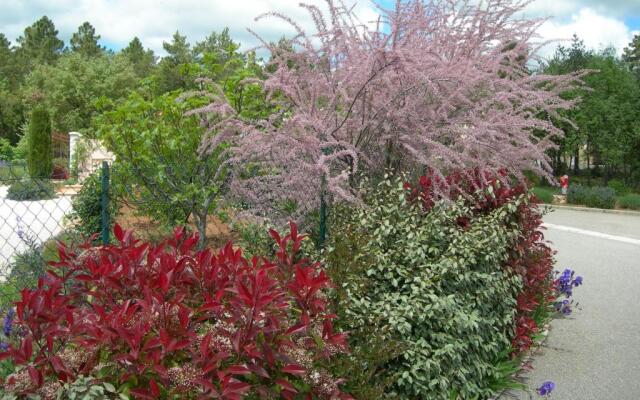 B&B Villa les Tamaris