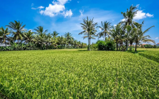 GREEN FLOW Villas III Ubud