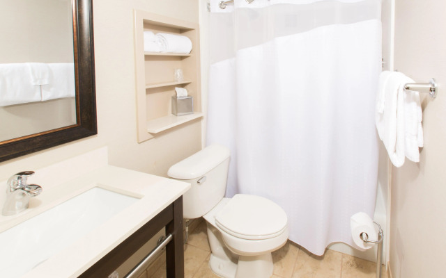 Holiday Inn Sioux Falls-City Centre by IHG