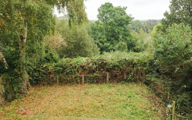 Rushfield