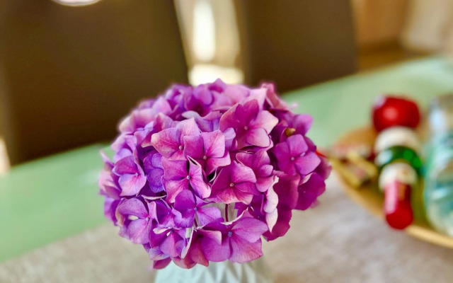 Peedy's luxuriöse 60m² Wohnung mit Balkonterrasse