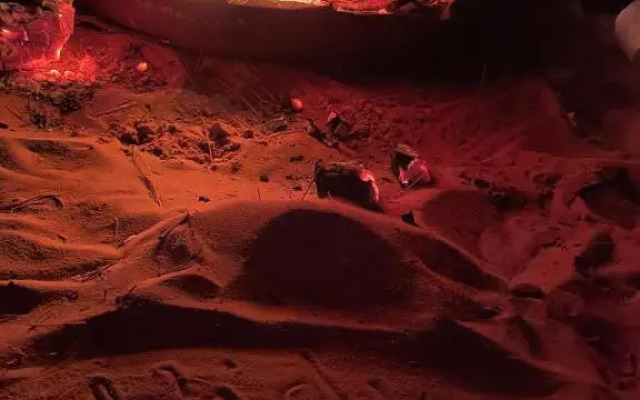 Wadi rum secrets camp