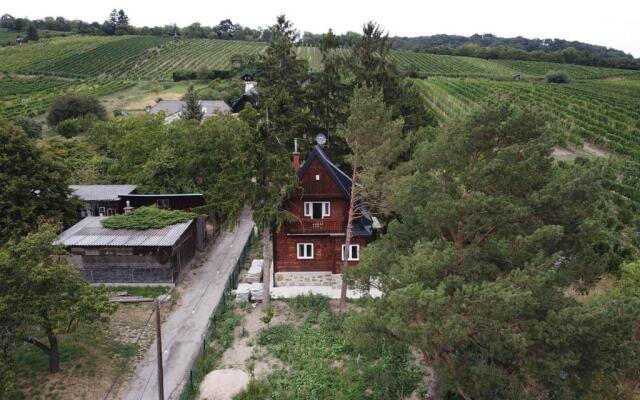 Vacationhome In The Vineyards