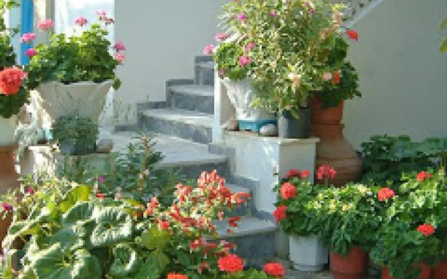 Guesthouse Karidia