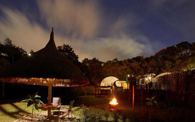 BubbleSky Glamping 15 min from Medellin