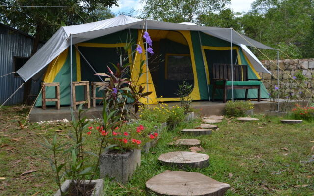 Cubby House Resort & Glamping