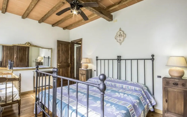 Laia Seravezza in Seravezza