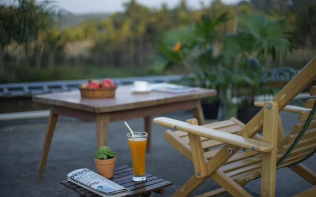 The Paddy Field Inn - Hostel