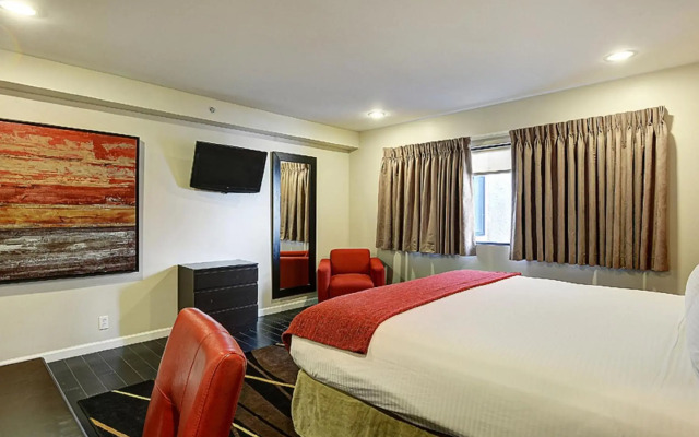 Shelter Hotel