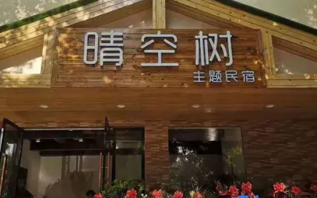 Xiaogan Qingkongshu Themed Homestay