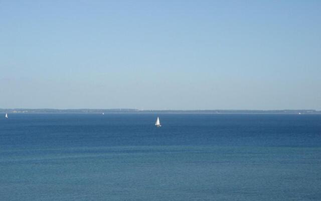 Strandläufer - [#29764]