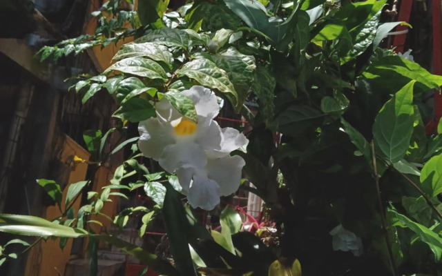 Se hospede num Cantinho Gourmet