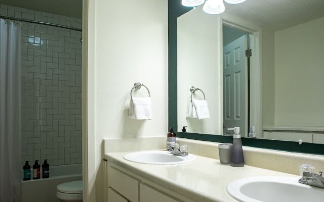 Stylish North Austin Apartments by WanderJaunt