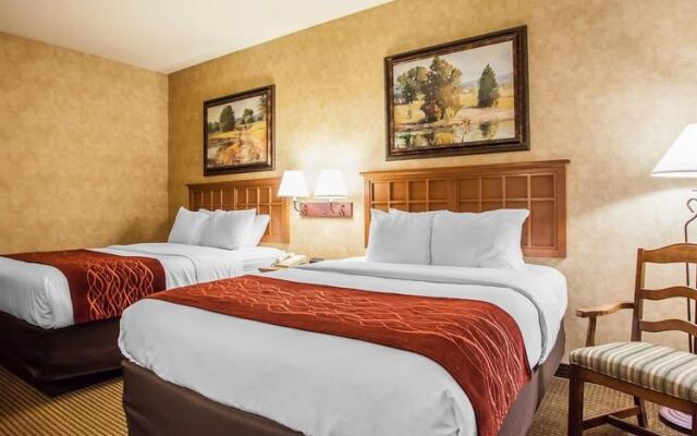 Comfort Inn Macon
