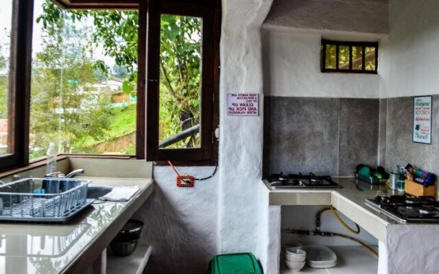 Coffee Tree Boutique Hostel