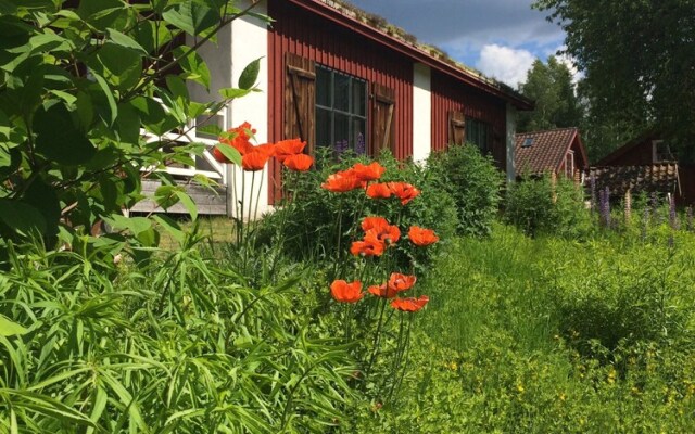 Björnåsen Bear Hill