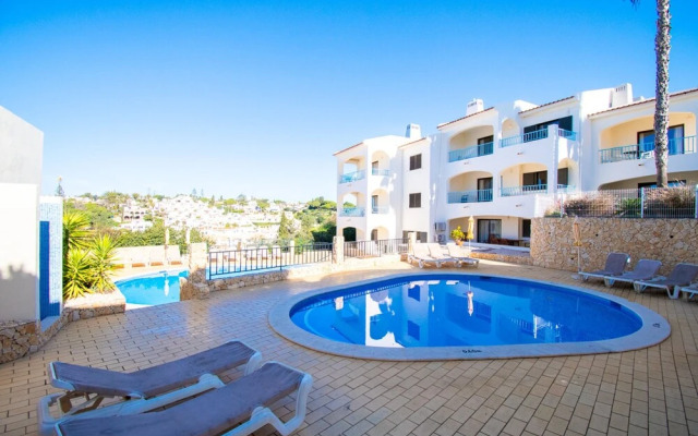 99B Hibiscus Monte Dourado