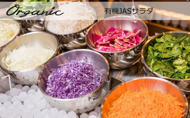 Super Hotel Tokyo Akabane eki Minamiguchi