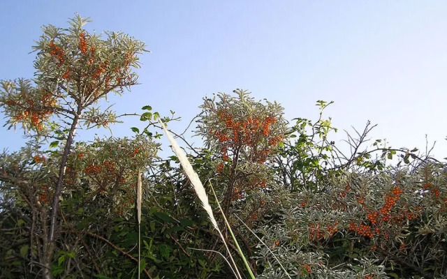 Old Printing House Holiday Apartment Bodoni