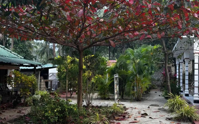 Ubay Guest House