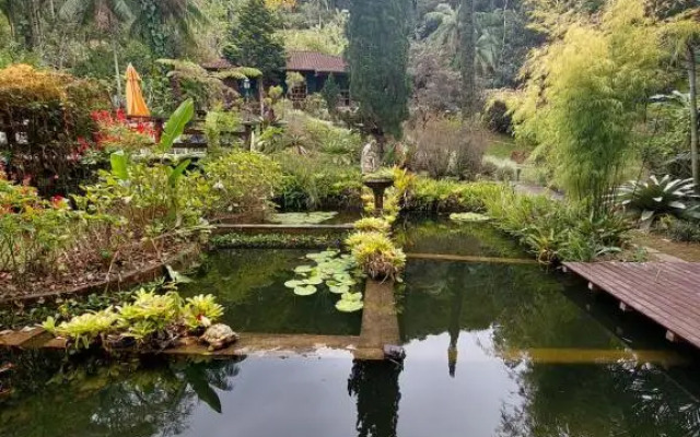 Lumiar Eco Lodge - Chalé Telhado Verde