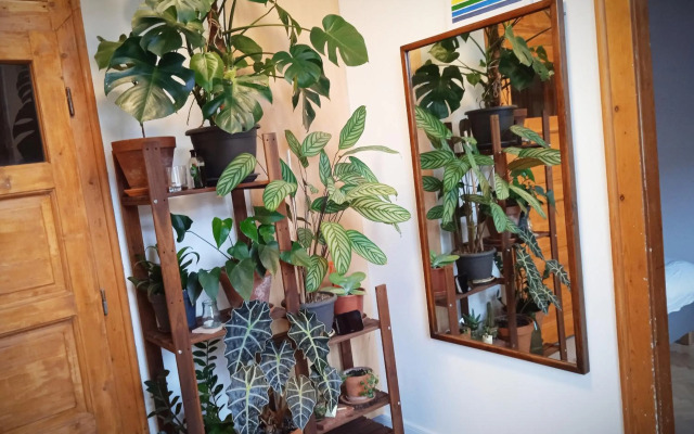 Good mornings apartment