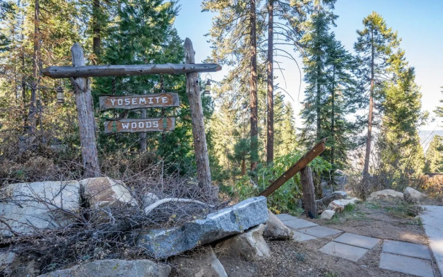 Yosemite Woods