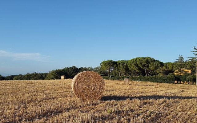 Casanova Di Larniano