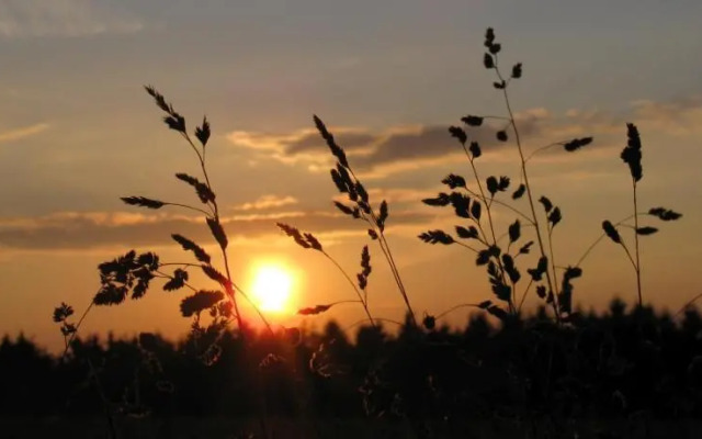 Ferienwohnung Dürbaum