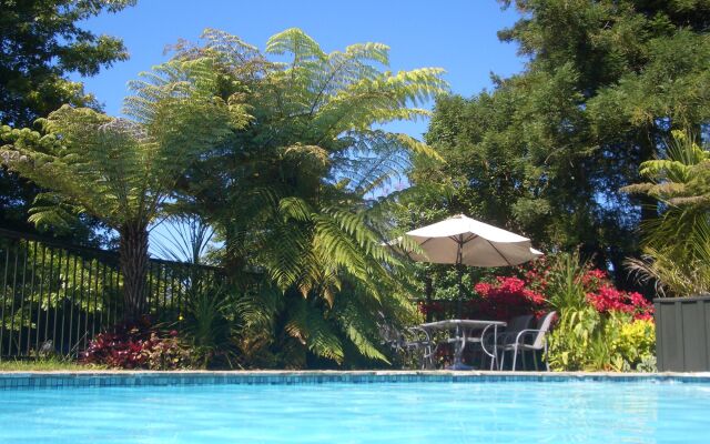 Pateke Lodge