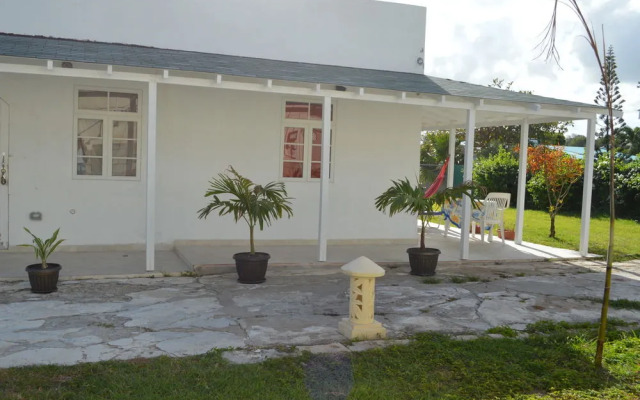 Tropical Gecko Studio