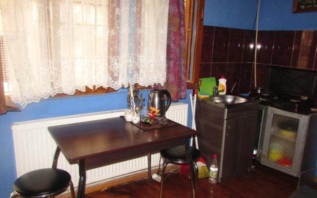 Apartment on Machabeli 20