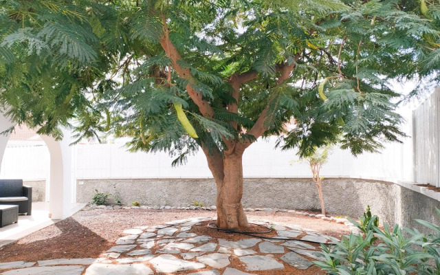 Pretty Terrace Holiday House in Maspalomas