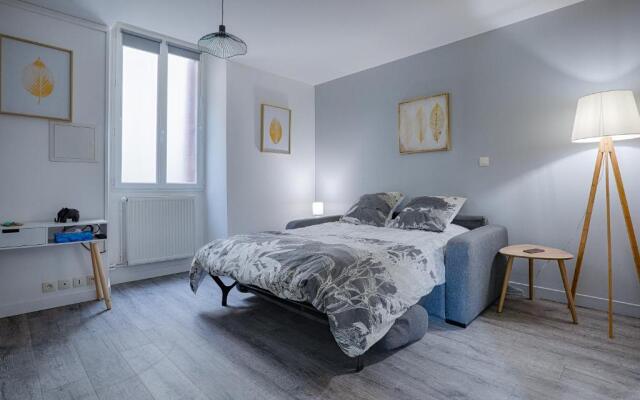 La chopine - grand studio, centre historique, hôtel de ville