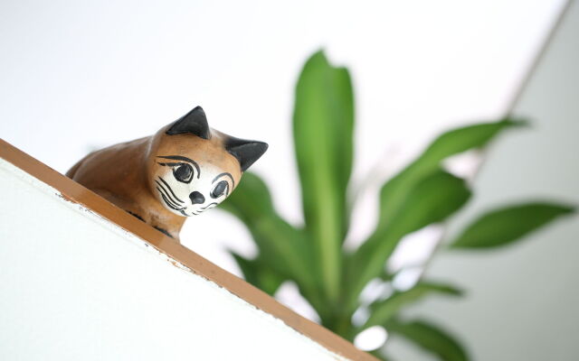 Thai Cat Hostel BB Bangkok