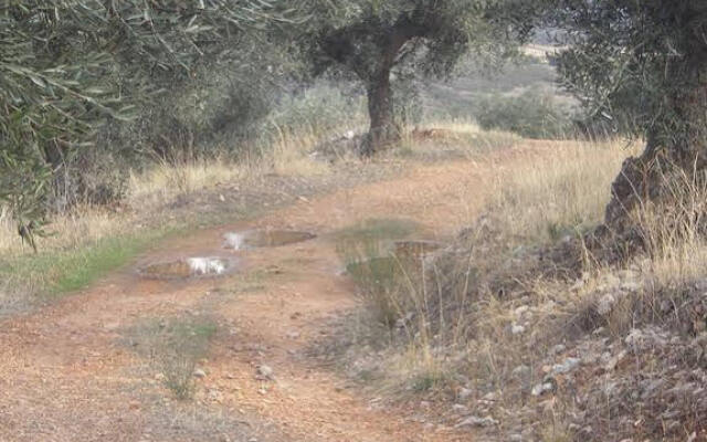 Apartamento Rural Tajo Internacional