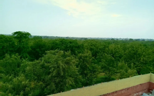 Room-janardan Resort Pushkar Rajasthan