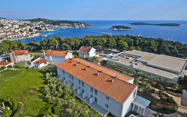 Violeta Hvar